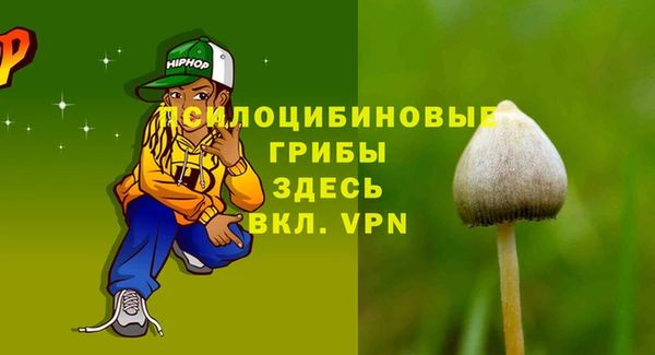 винт Армянск