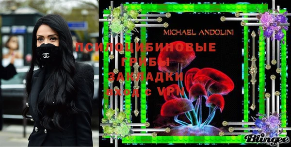винт Армянск